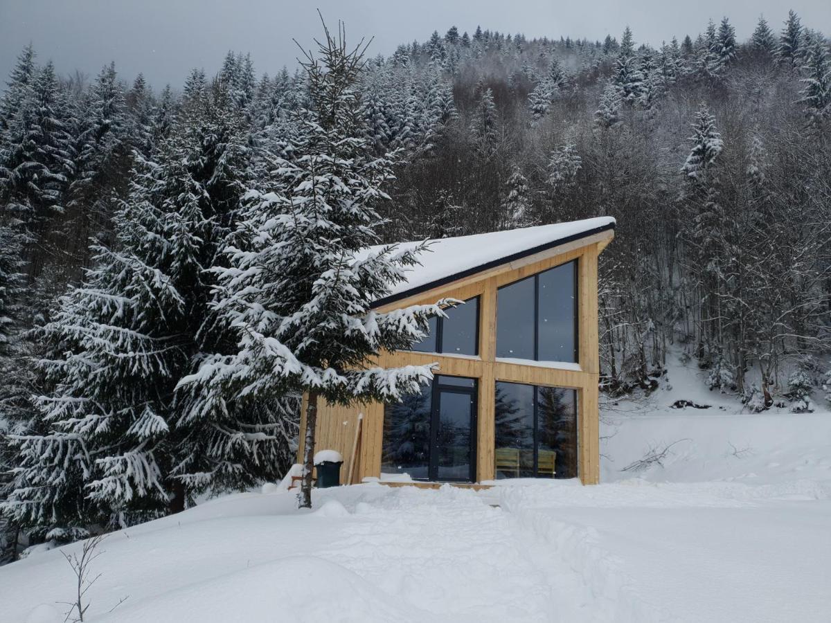 La Hambare Villa Colibita Luaran gambar